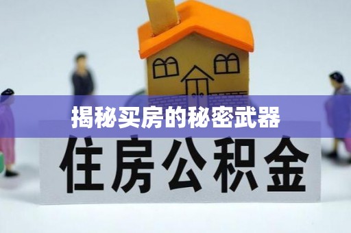 仁德揭秘买房的秘密武器