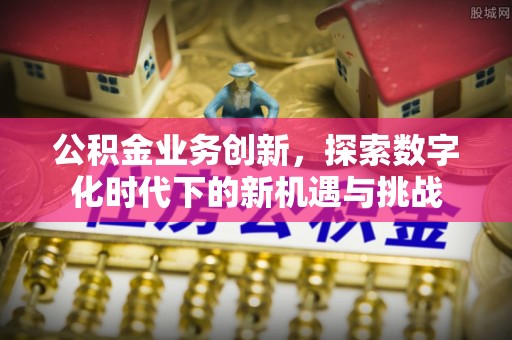 仁德公积金业务创新，探索数字化时代下的新机遇与挑战