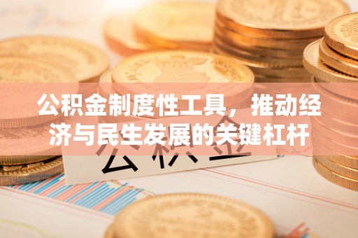 仁德公积金制度性工具，推动经济与民生发展的关键杠杆