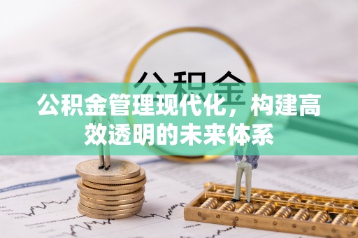 仁德公积金管理现代化，构建高效透明的未来体系
