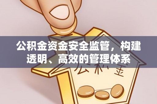 仁德公积金资金安全监管，构建透明、高效的管理体系
