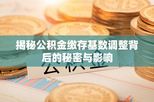 仁德揭秘公积金缴存基数调整背后的秘密与影响