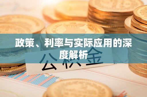仁德政策、利率与实际应用的深度解析