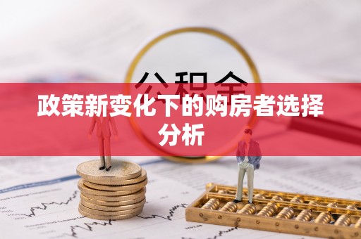 仁德政策新变化下的购房者选择分析
