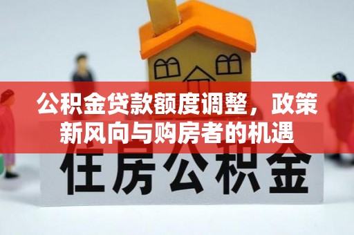 仁德公积金贷款额度调整，政策新风向与购房者的机遇