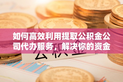 仁德如何高效利用提取公积金公司代办服务，解决你的资金难题